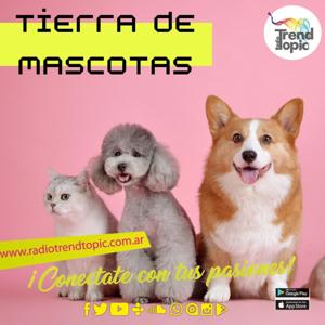 Tierra de Mascotas