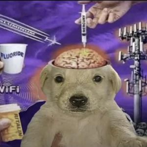 Tism Blast Tism Cast