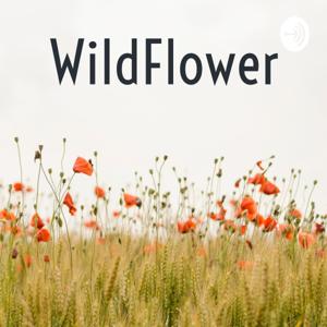 WildFlower