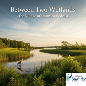 Between Two Wetlands - the Village of Suamico Podcast