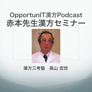 OpportunIT Podcast