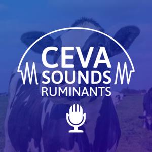 Ceva Sounds Ruminants