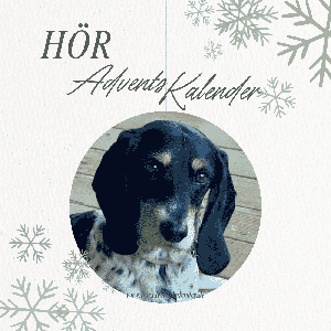 Feli Abenteuer - Ein Adventskalender zum Hören