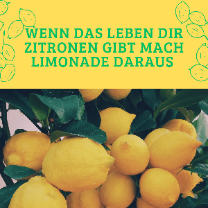 Wenn das Leben dir Zitronen gibt mach Limonade daraus