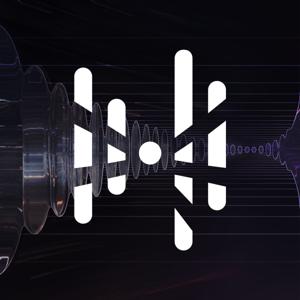 SINGULARITY VOICES
