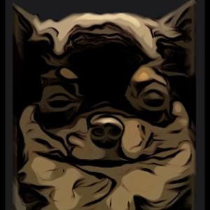 Not Truly Aggressive: A Dog Training Podcast