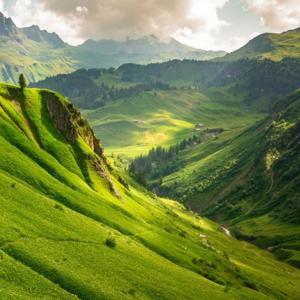 Ecos del Planeta - Especies invasoras