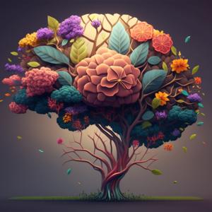 The Second Wind Podcast