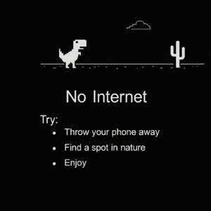 La importancia del internet — Carlos F.