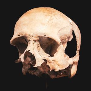 Atapuerca: el hilo de la evolución.