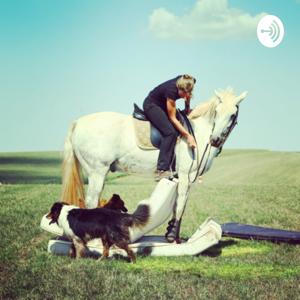 Pferdeausbildung mit Herz und Hirn by Pferdeausbildung mit Herz und Hirn