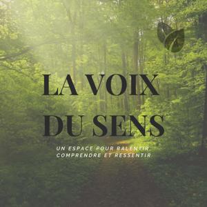 La Voix Du Sens