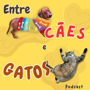 Entre cães e gatos