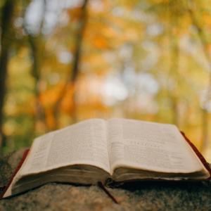 Enfoques metodológicos en la educación.