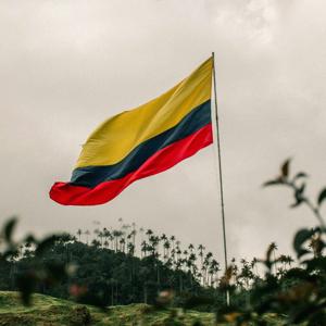 Ramas del poder y Bandera de Colombia