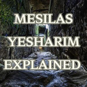 Mesilas Yesharim Explained with Rabbi Dovid Schoonmaker
