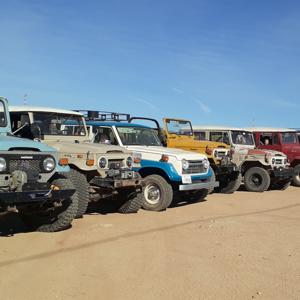 Classic Land Cruisers