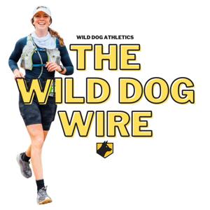 The Wild Dog Wire