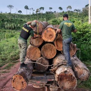 EL PROTOCOLO DE INVESTIGACIÓN