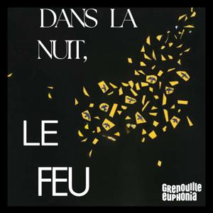 Dans la nuit le feu
