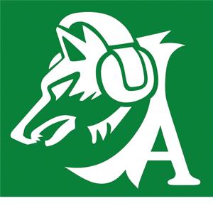 Le ultime sull'Avellino Calcio