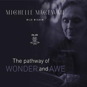 Wild Wisdom | The Pathway of Wonder and Awe