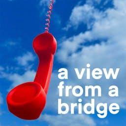 A View From A Bridge