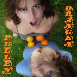 Orangen Pellen