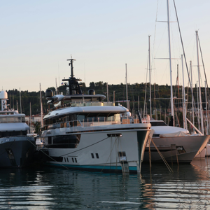 Waves & Wonders: The Palmara Charters Experience