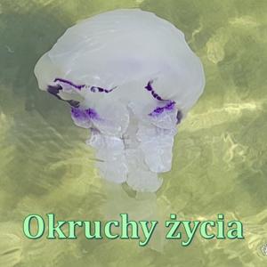 Okruchy życia