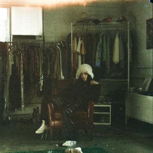 Metodológia de la problemática