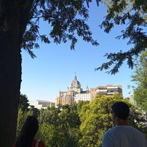La evolución de la coctelería en Madrid.