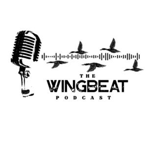 The Wingbeat Podcast
