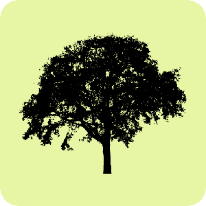 Wildwood Assembly Podcast