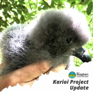 The Karioi Project