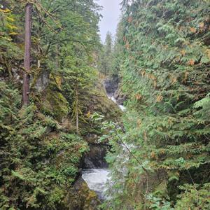 El podcast de Carmen SILAMAR