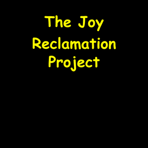The Joy Reclamation Project | Finding Light Again