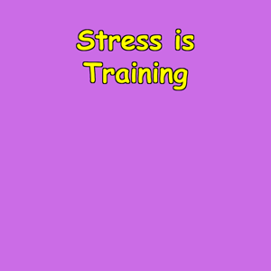 Stress is Training | Masculine Endurance Protocol