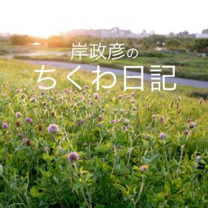岸政彦のちくわ日記