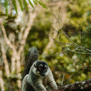 Cuidando nuestro mundo