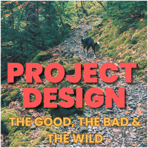 Project Design: The Good, The Bad and the Wild