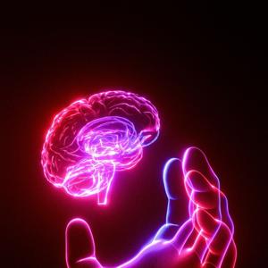 El cerebro enamorado