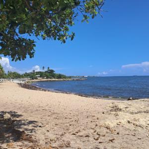 Cuerpo y Mente en movimiento