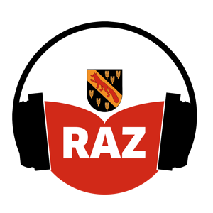 RAZ aus'm Rathaus – die Arbeit der Bezirksverordneten in Reinickendorf