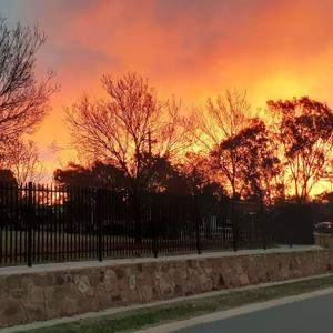 A World at War with Itself