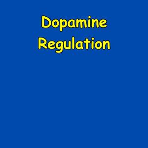 Dopamine Regulation | Balanced Brain Chemistry