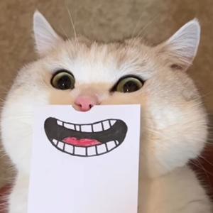 Beyond The Clouds : William Peter