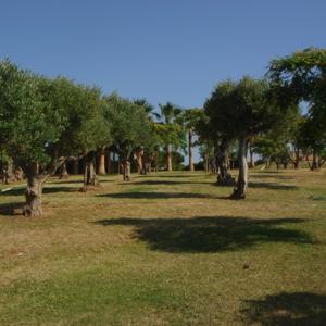 La Bible expliquée par l'I.A.