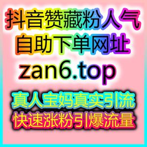 自助涨粉网助力TikTok粉丝增长,实现海外品牌合作!