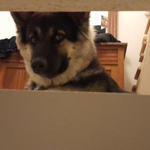 Marlon und Gali erklären euch die Welt